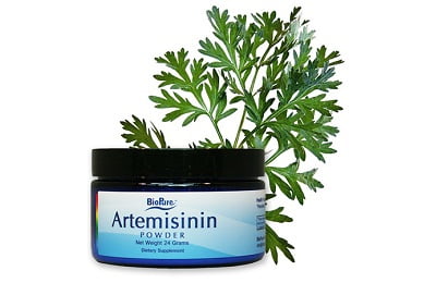 Артемизинин