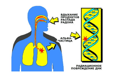 Влияние радиации на человека